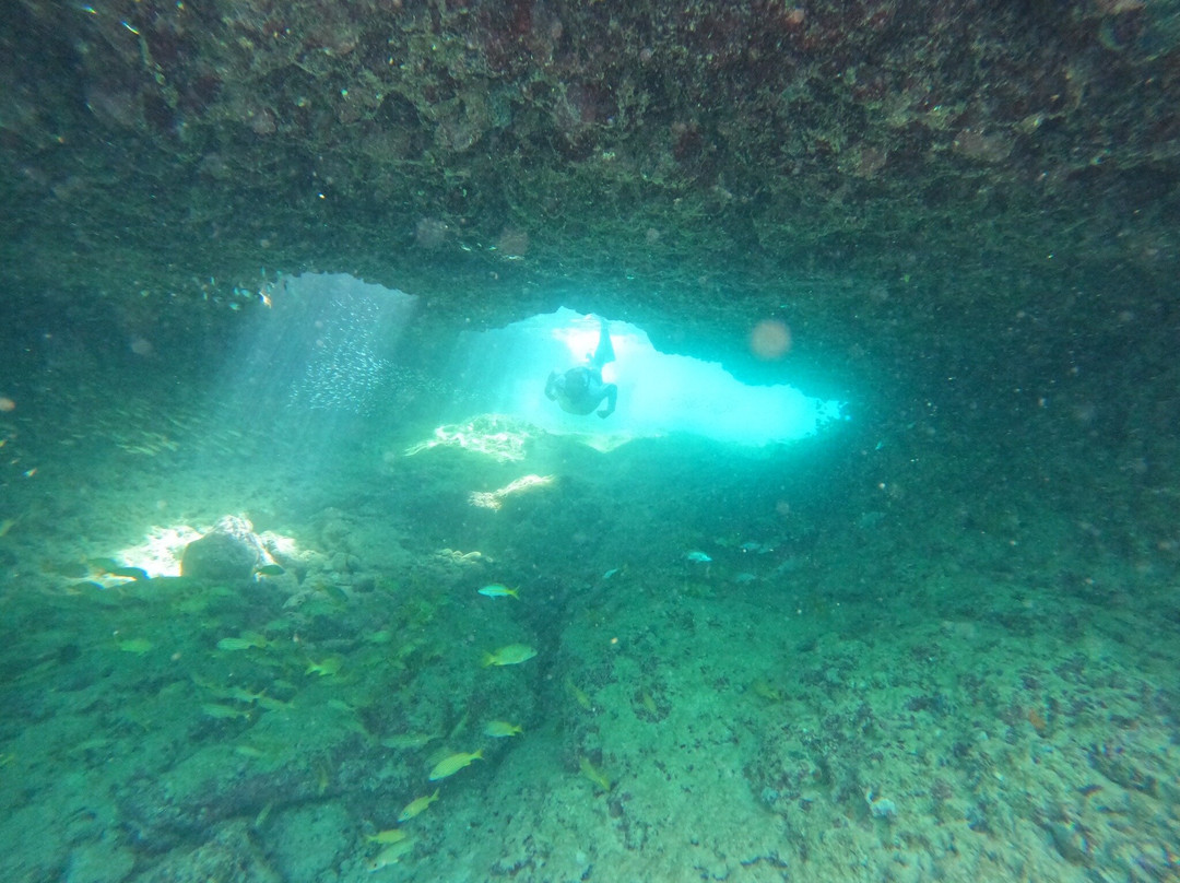 Coral Ocean Aruba-Malmok Beach必去景点