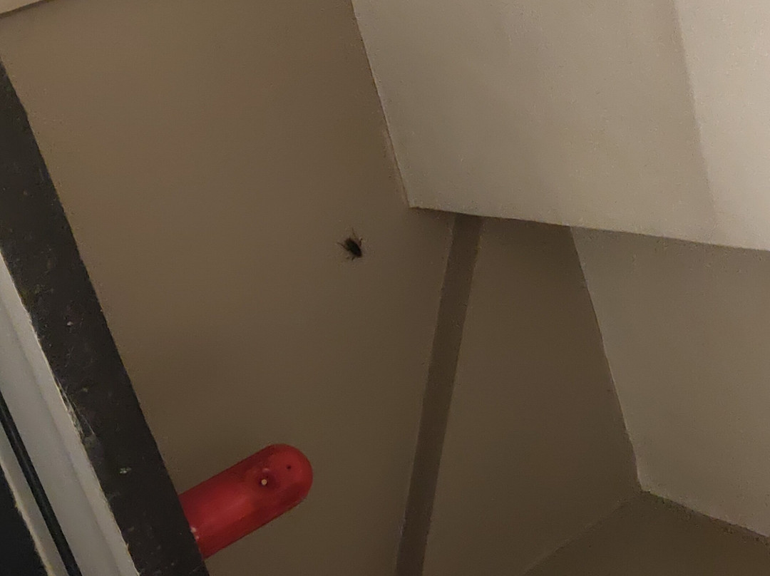 Fiesta Beach Resort主图