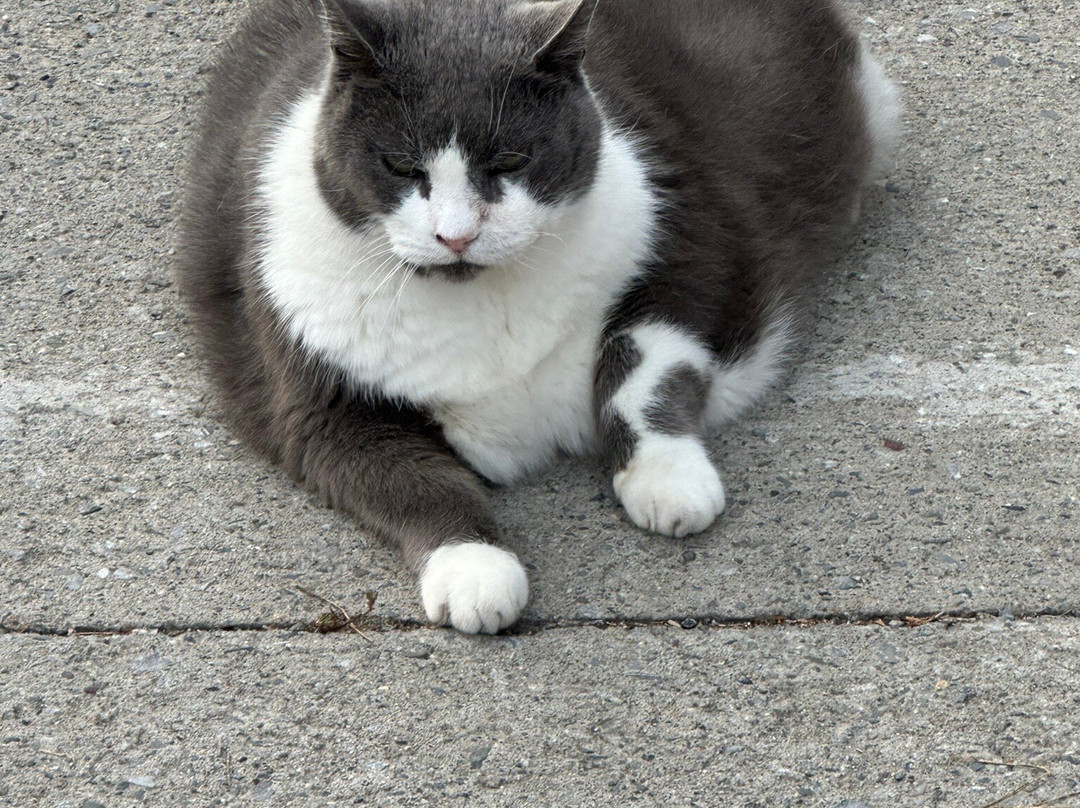 Tuthilltown Spirits Distillery-Gardiner必去景点