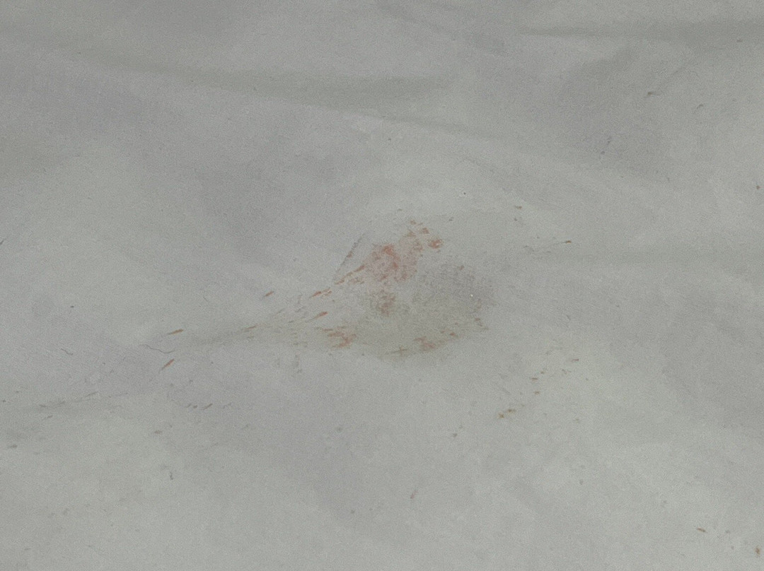 Pousada Solar dos Carneiros主图