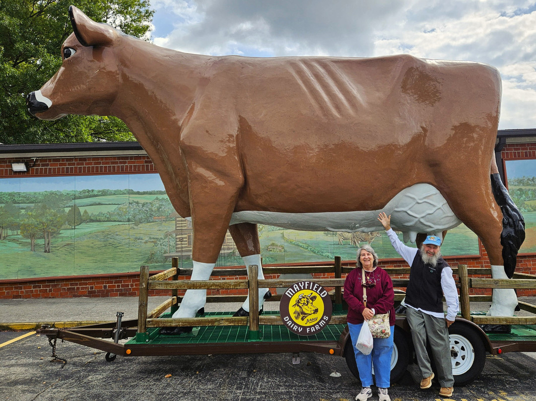 Mayfield Dairy Farm-Athens必去景点