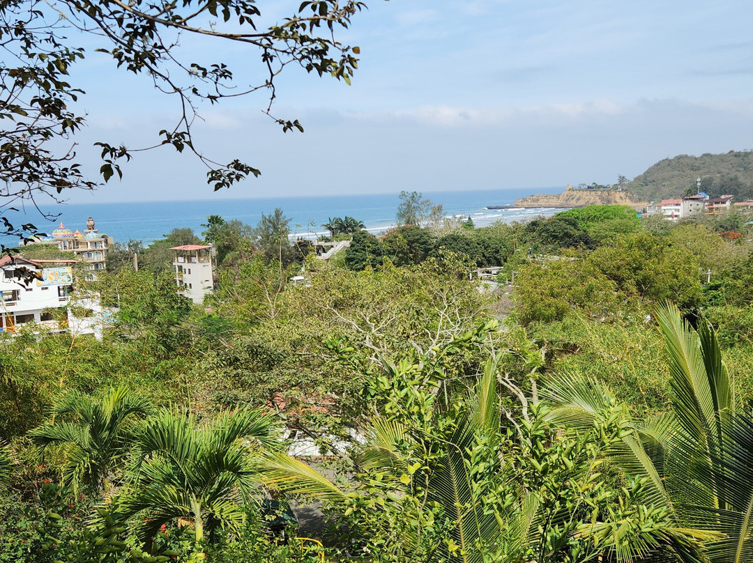 Nativa Bambu Ecolodge主图