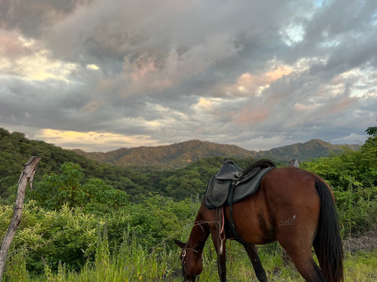 Mirador Equestrian-Playa Avellanas必去景点