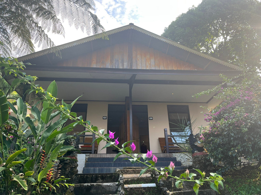 Dolidi Ndano Towale主图