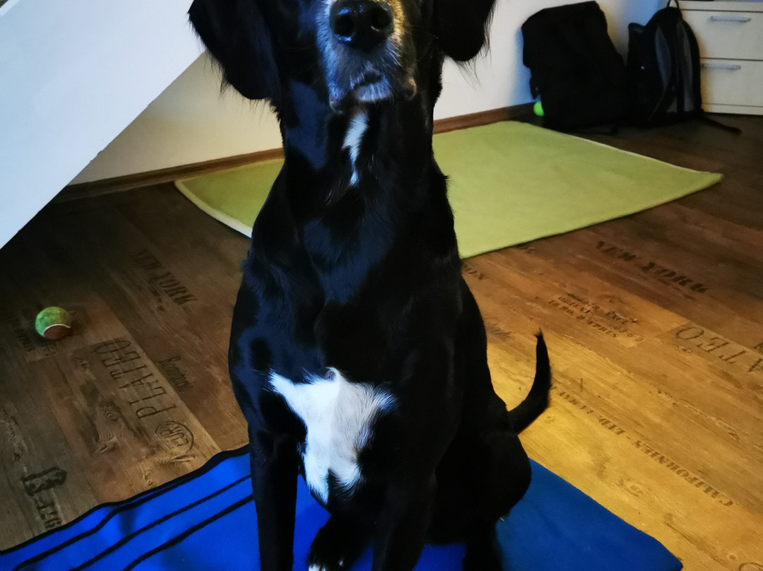 Seehotel Postmunster主图