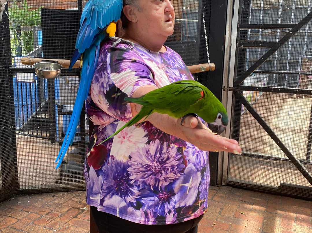 Port Stephens Animal Adventures-Bobs Farm必去景点