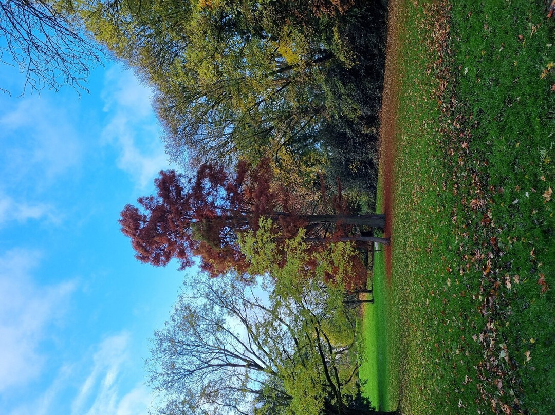 Parc Bivort Info | Charleroi景点图片