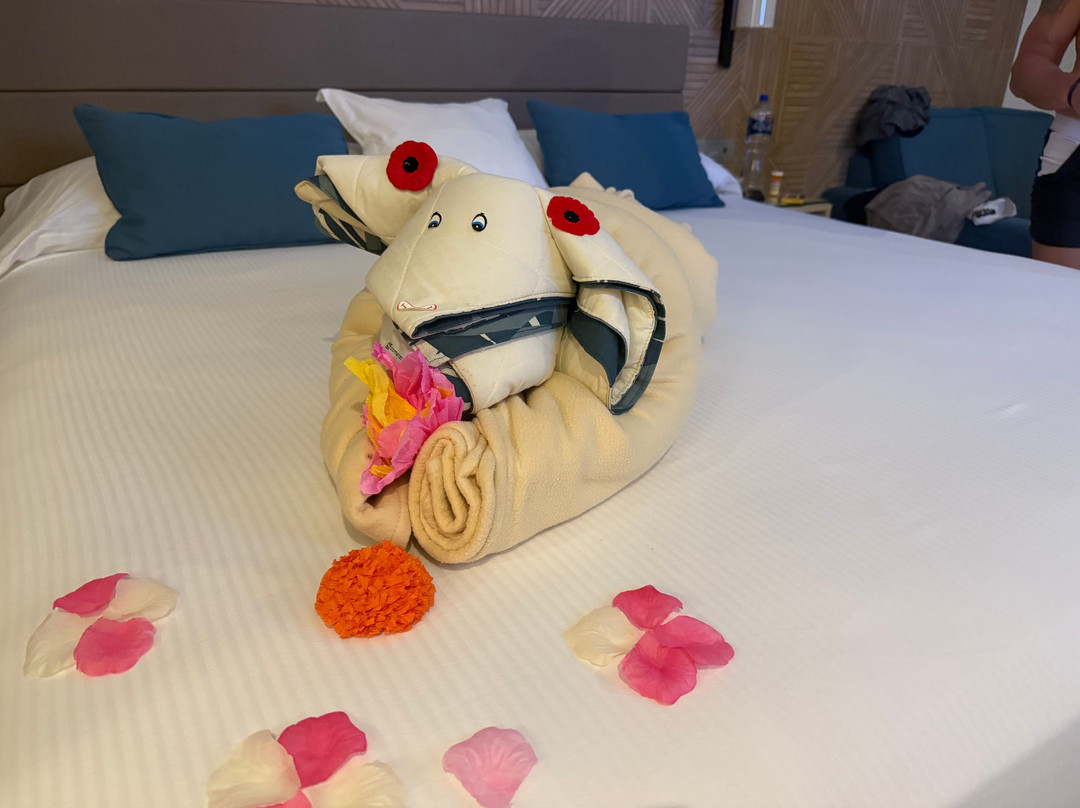 Hotel Riu Latino主图