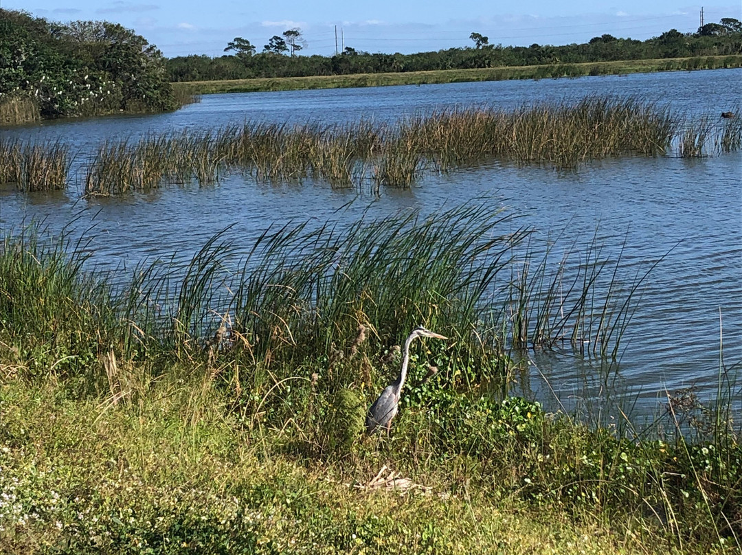 Ritch Grissom Memorial Wetlands景点图片