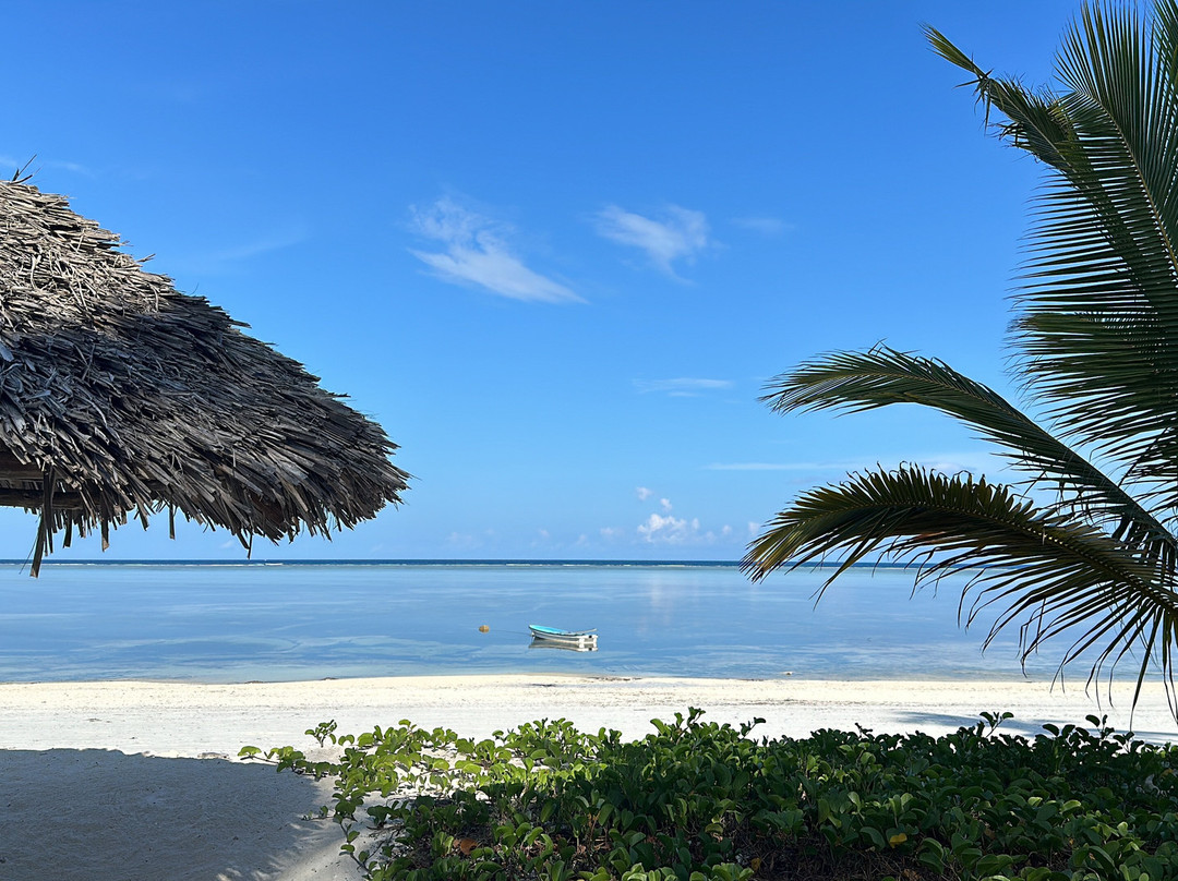 Rising Sun Dive Center-桑给巴尔岛必去景点