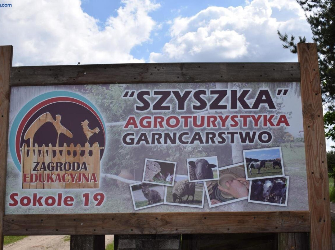 Agroturystyka Szyszka