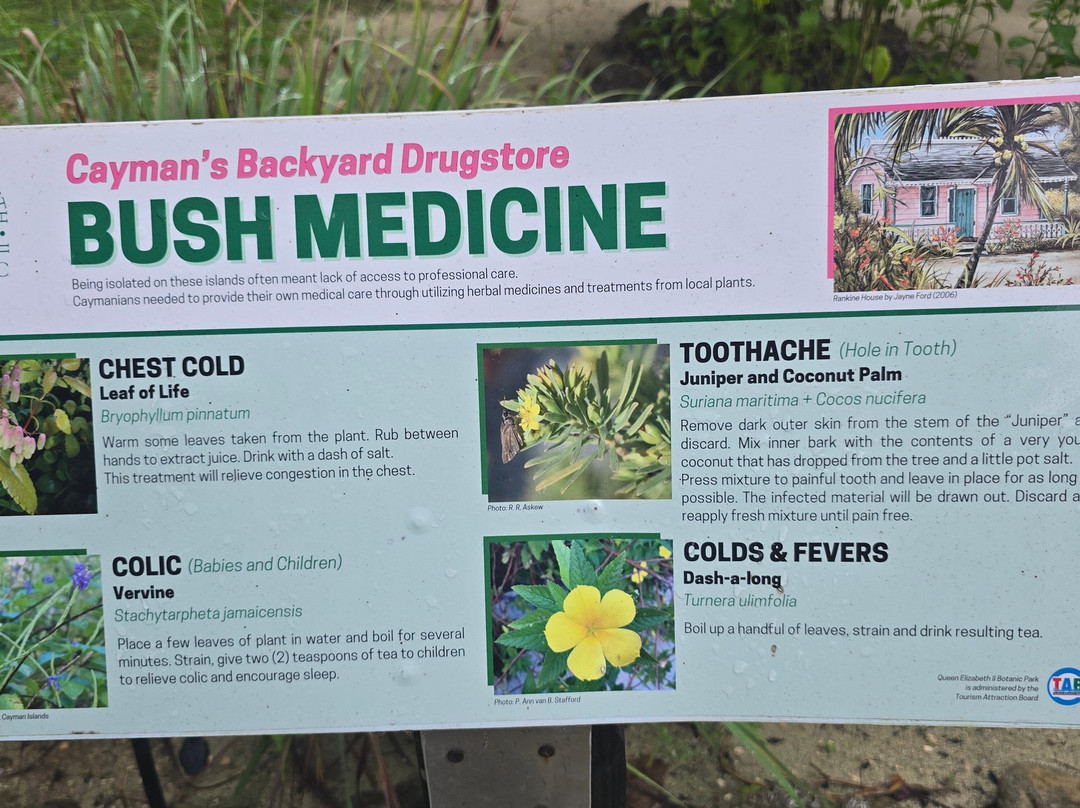 Blue Iguana Conservation Tour-North Side必去景点