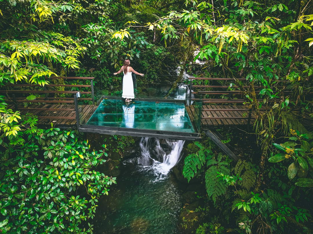 Ecolirios Boutique Hotel and Spa主图