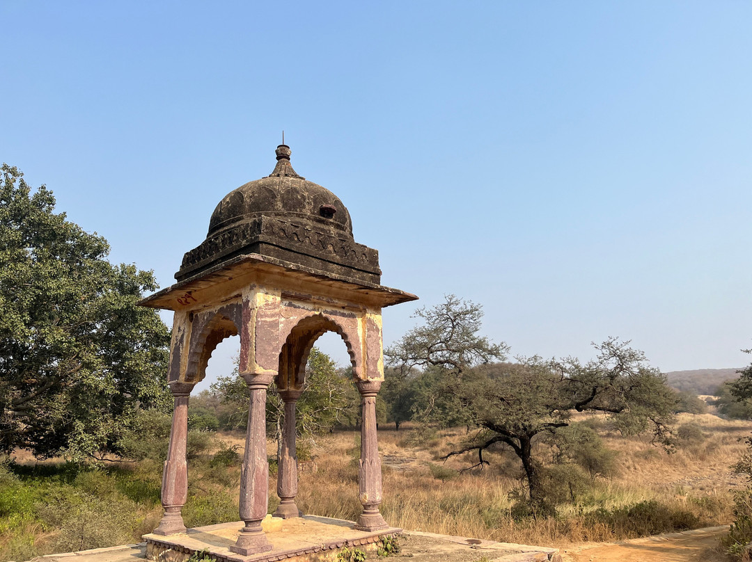 Rifa Tours India - Private Day Tour景点图片