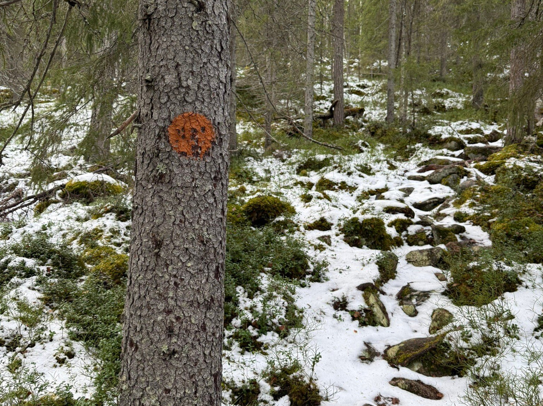 Pieskänjupukka Scenic Trail-Pello必去景点