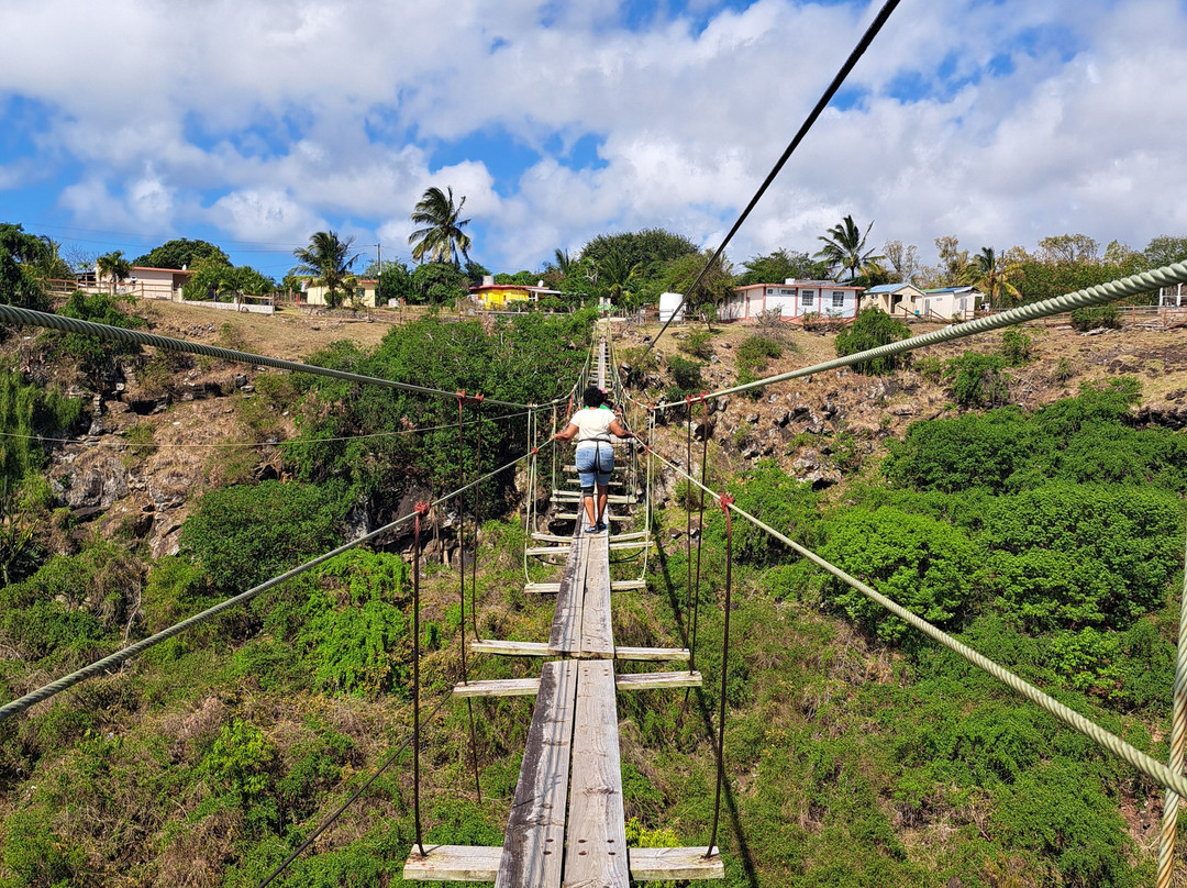 Suspension Bridge-罗德里格斯岛必去景点