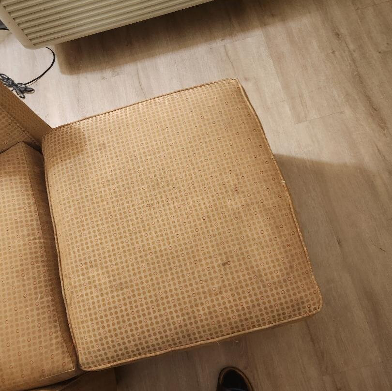 Best Western Inn & Suites of Macon主图