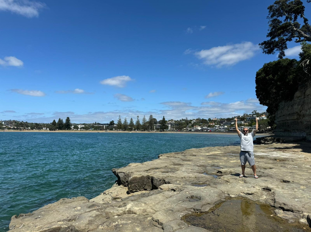 Browns Bay Beach景点图片