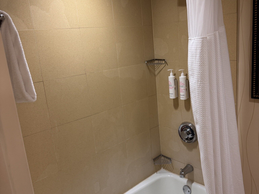 格林维尔万豪酒店主图