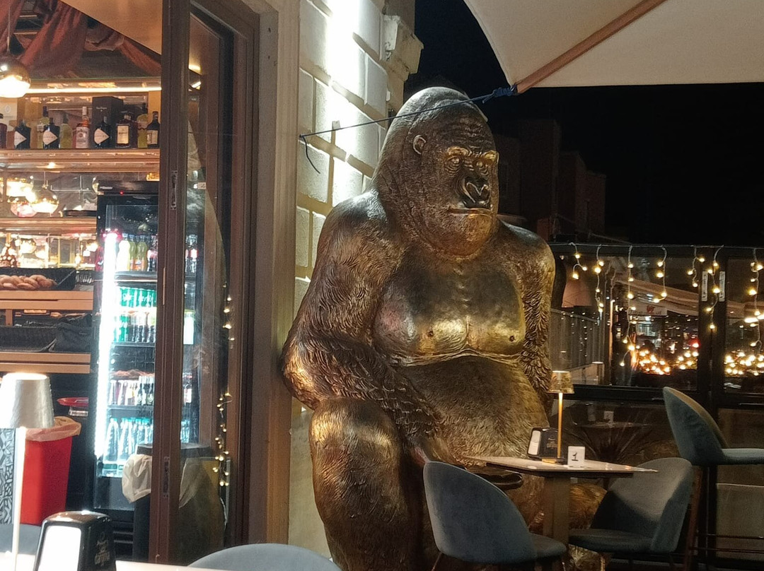 Gorilla's