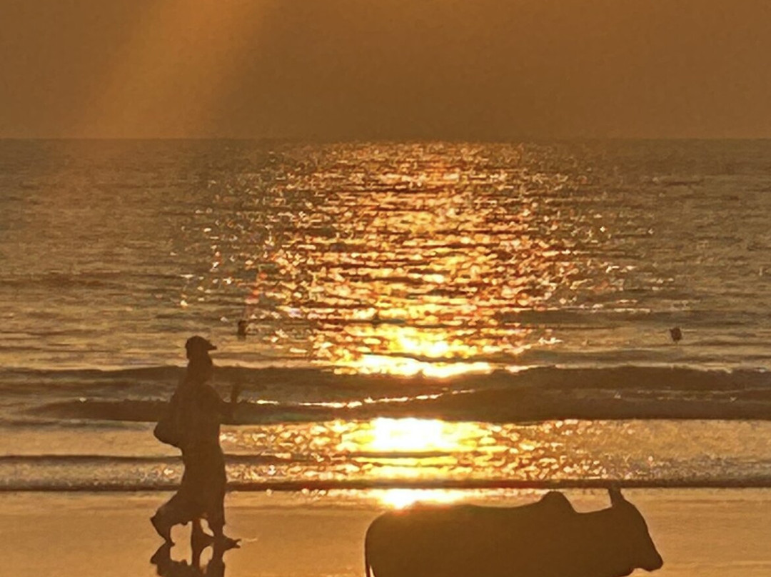 Goa Yogashala : Yoga Teacher Training in Goa India-格纳戈纳必去景点