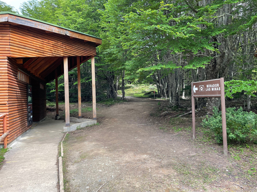 Reserva nacional Magallanes-蓬塔阿雷纳斯必去景点