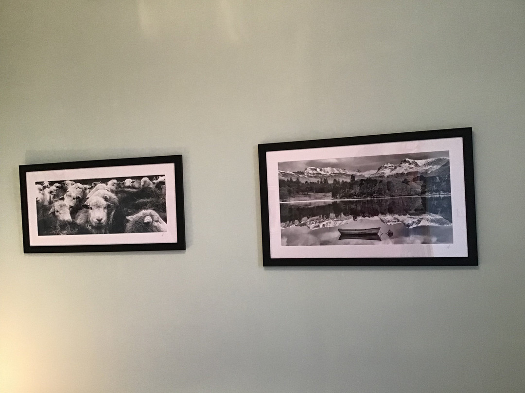 The Lakes Gallery-波尼斯-温德米尔必去景点