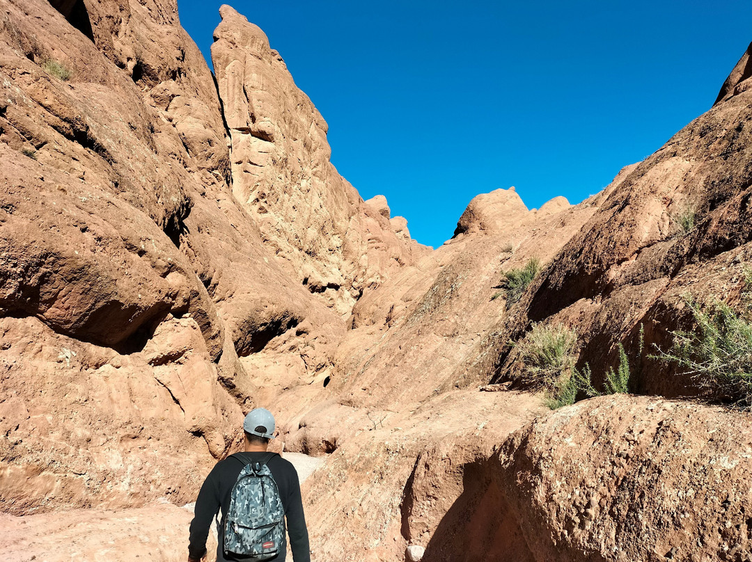 Activités In Monkey Fingers-Boumalne Dades必去景点