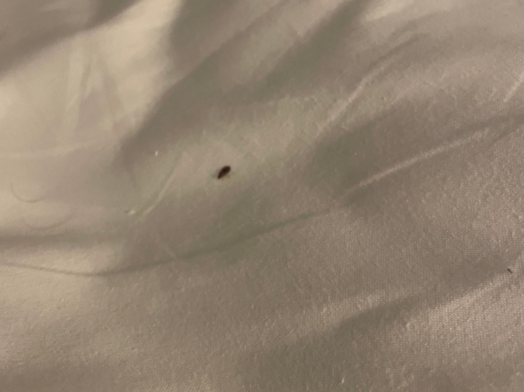 The George Hotel主图