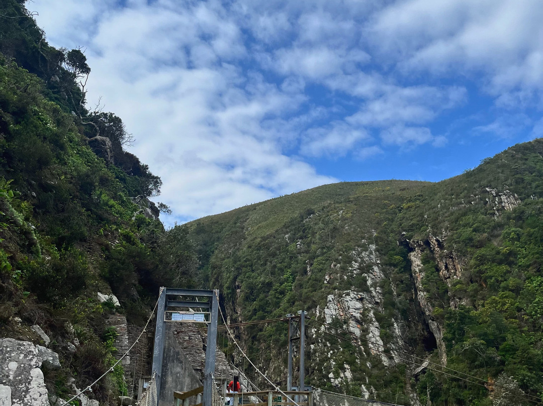 Wilderness Express Tours & Transfers-荒野必去景点