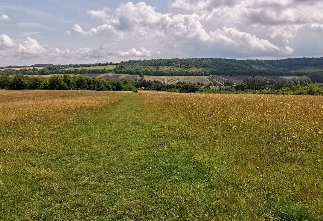 Lullingstone Country Park景点图片