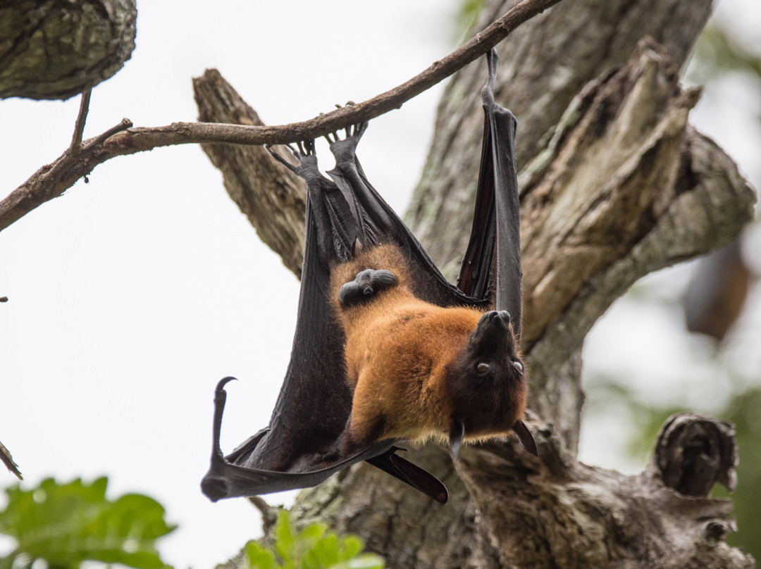 蒂瑟默哈拉默湖-蒂瑟默哈拉默必去景点