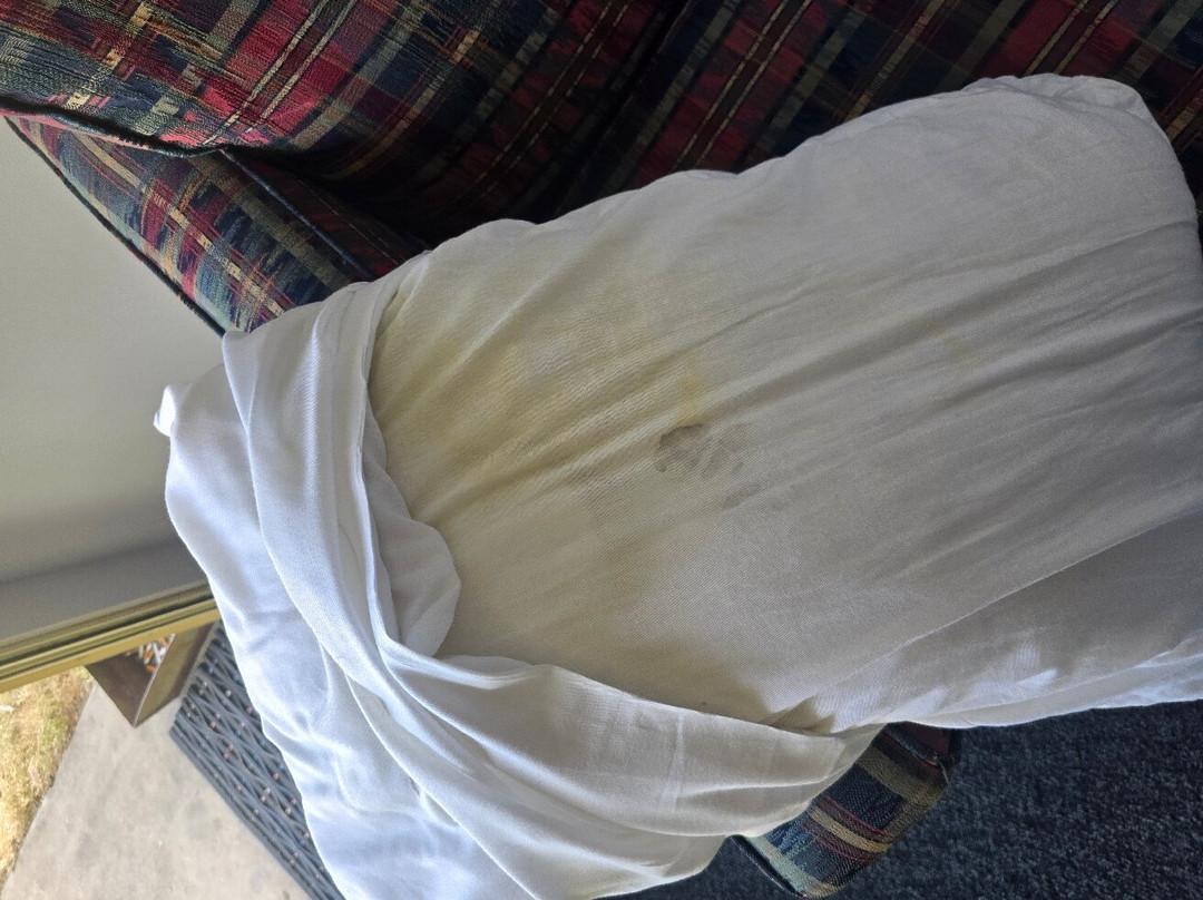 Renmark Country Club主图