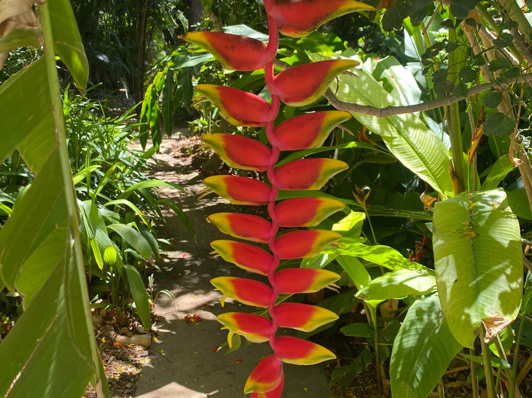 Jardin d'Eden景点图片