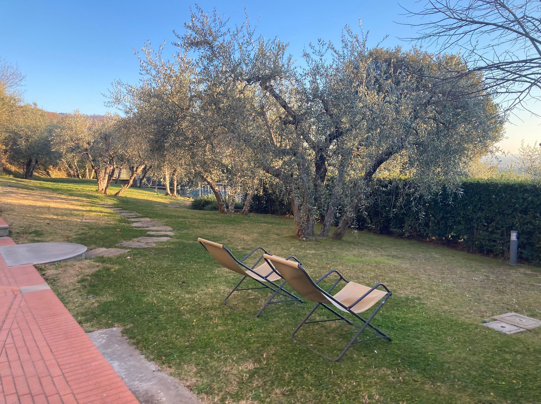 Agriturismo Borgo Tra Gli Olivi主图