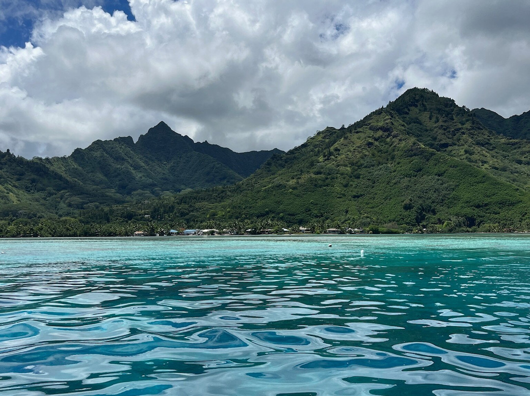 Moorea Underwater Experience-Temae必去景点