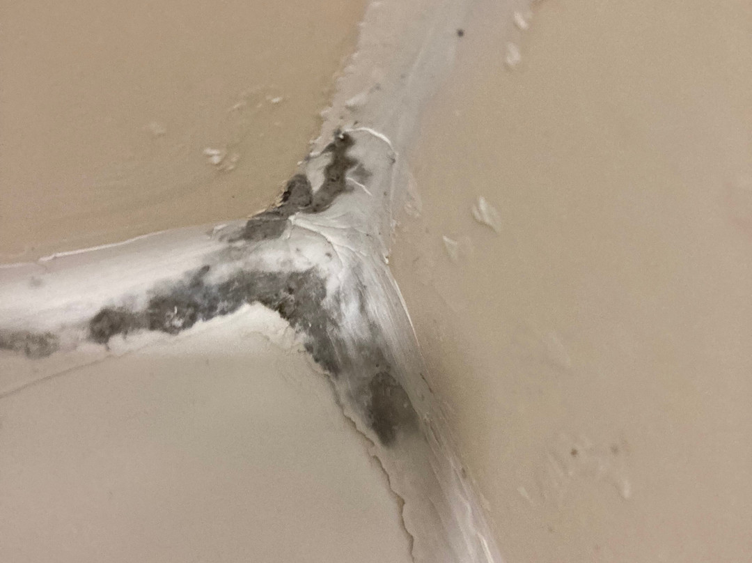 Best Western Inn & Suites - Lake Charles主图