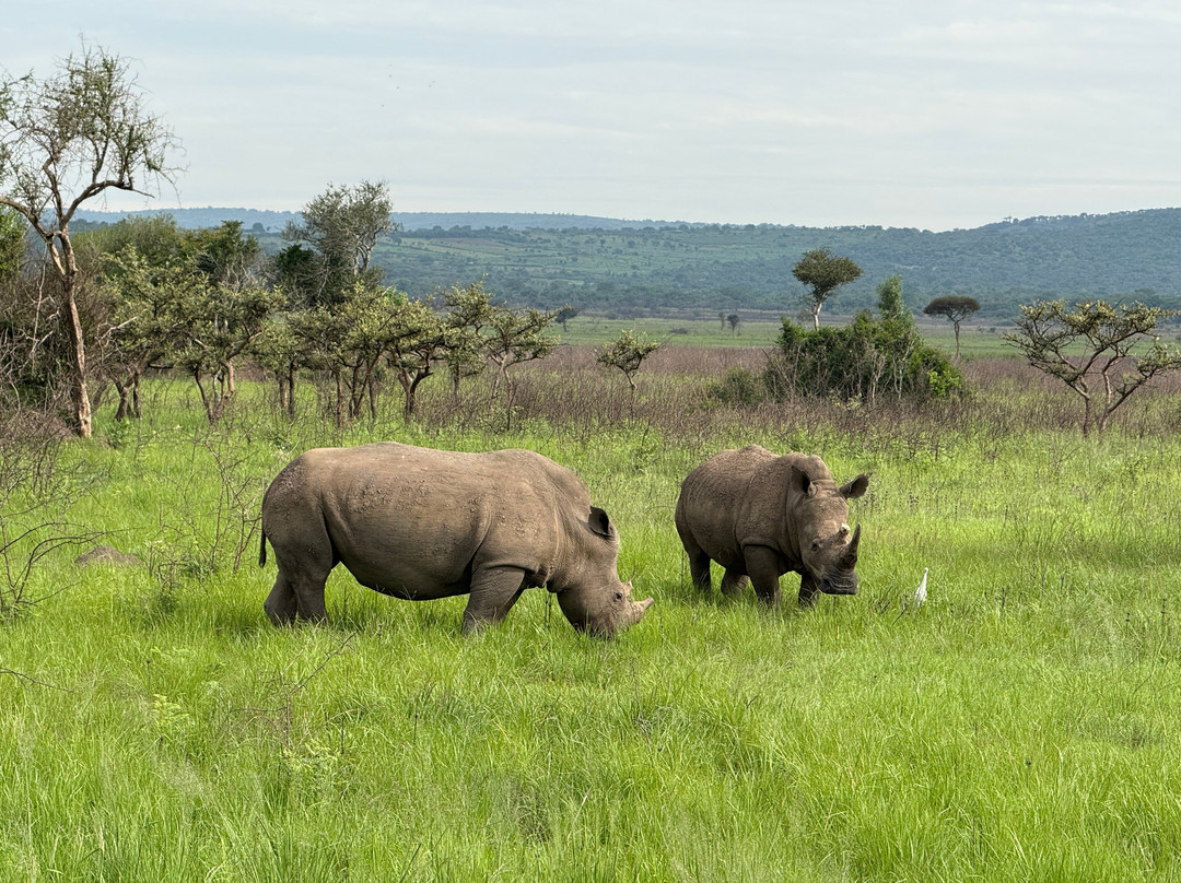 Ikaze Rwanda Tours & Travel-吉佳利必去景点