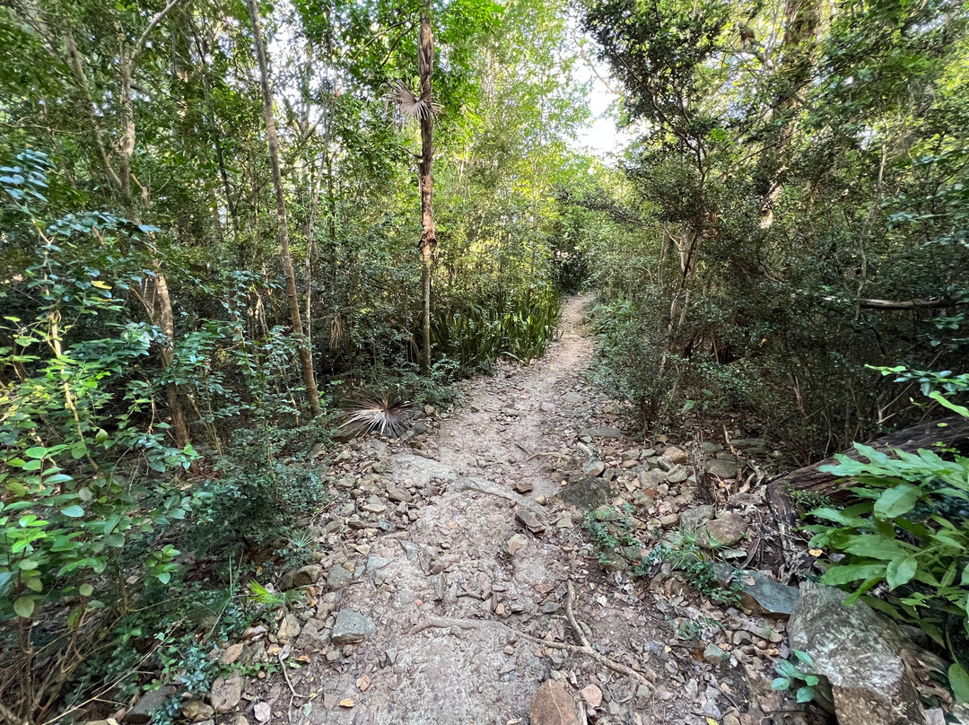 Lind Point Trail-克鲁兹湾必去景点