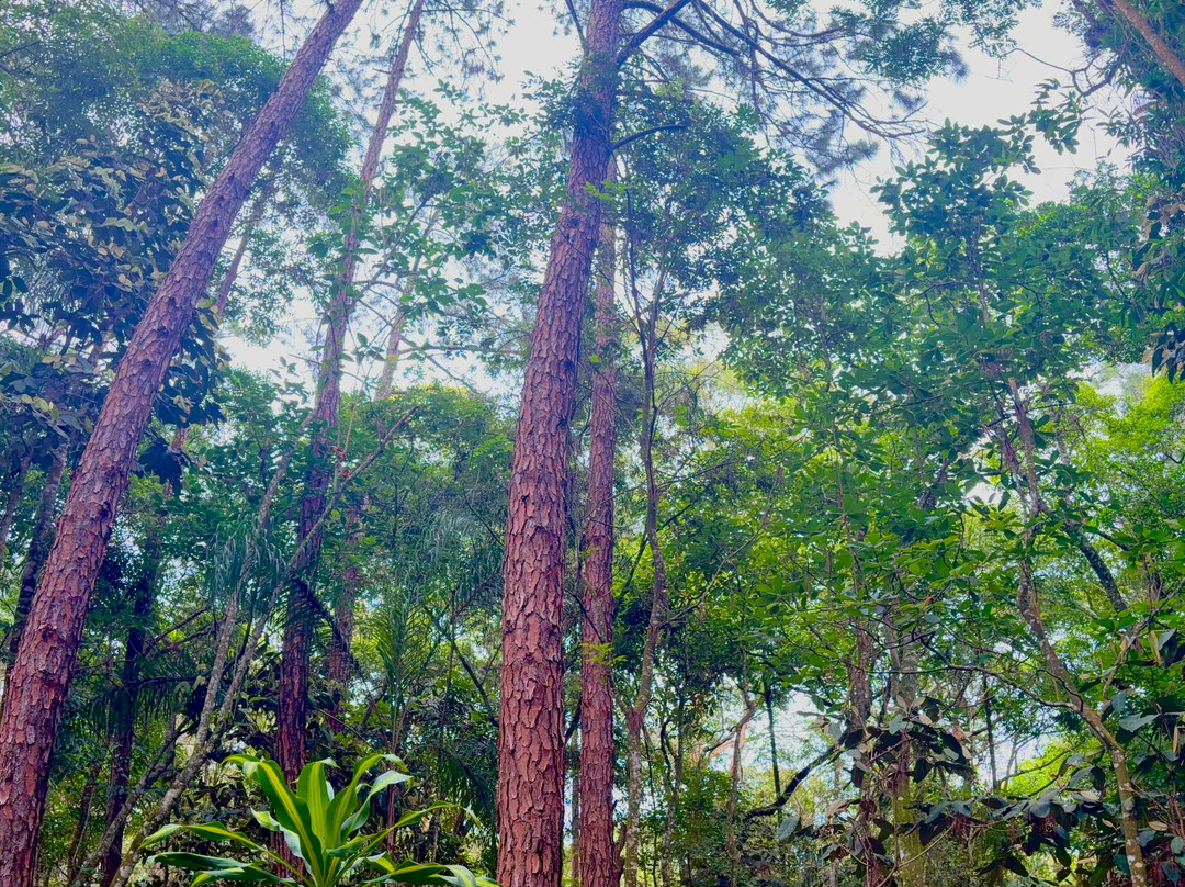 Canto Do Irerê Boutique Hotel主图