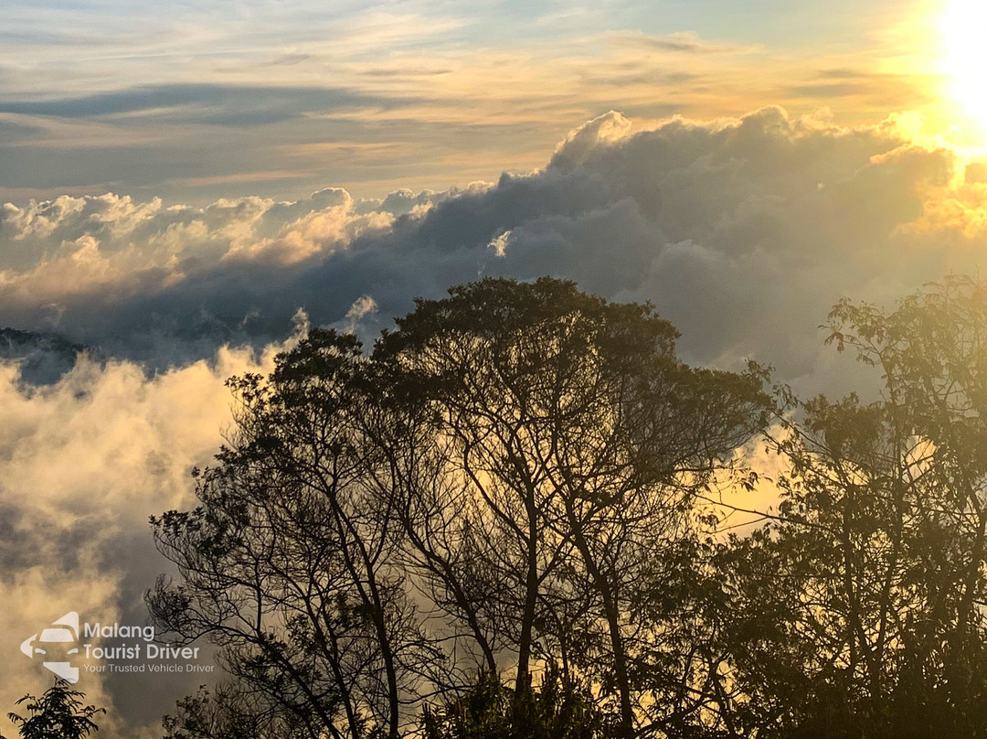 Malang Tourist Driver and Tour-玛琅必去景点
