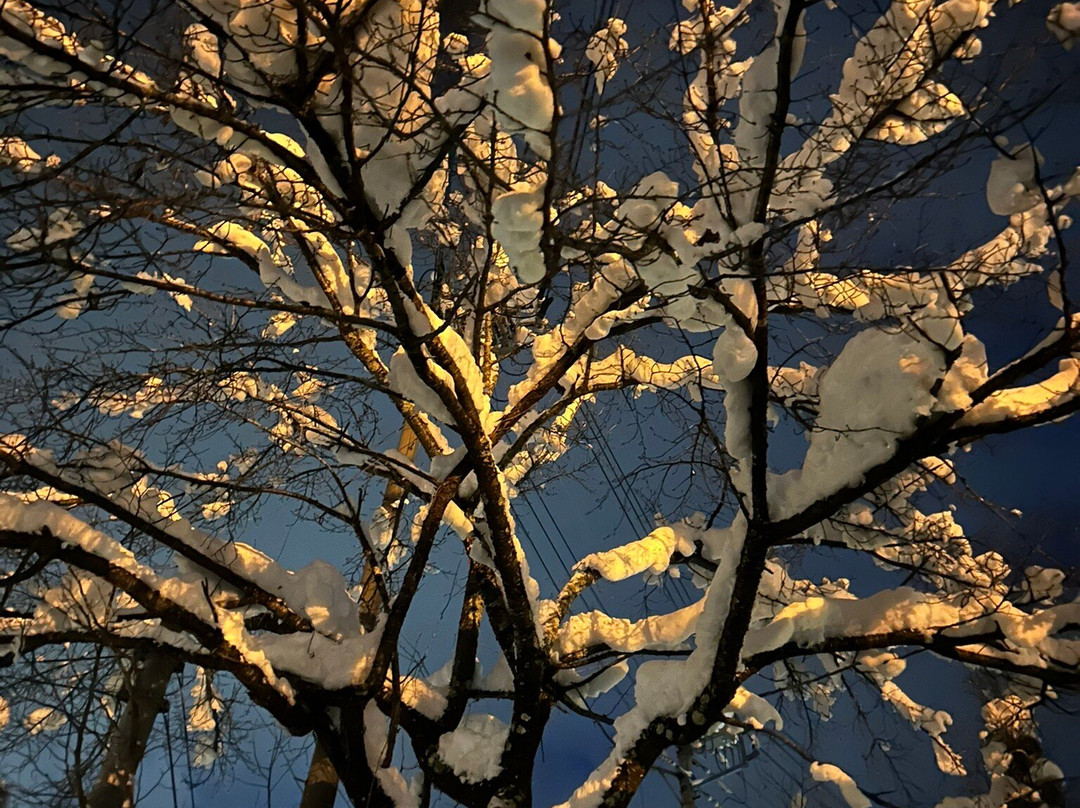 白马村酒店主图