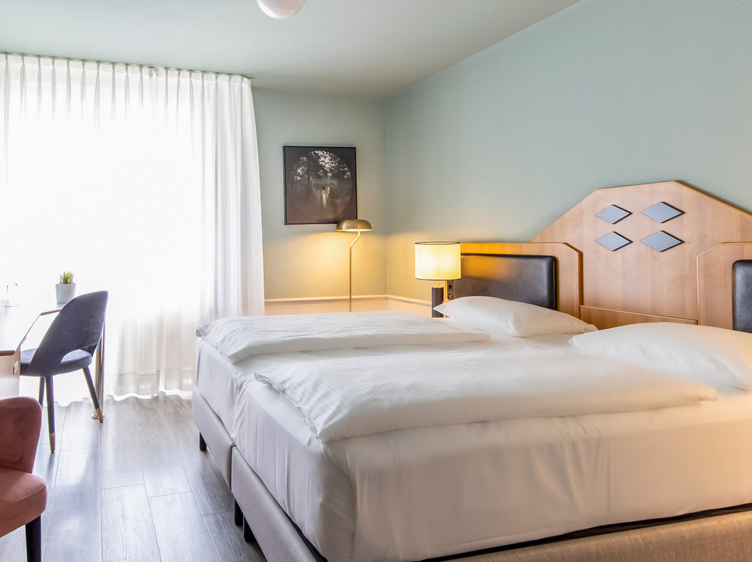 普福尔茨海姆酒店主图