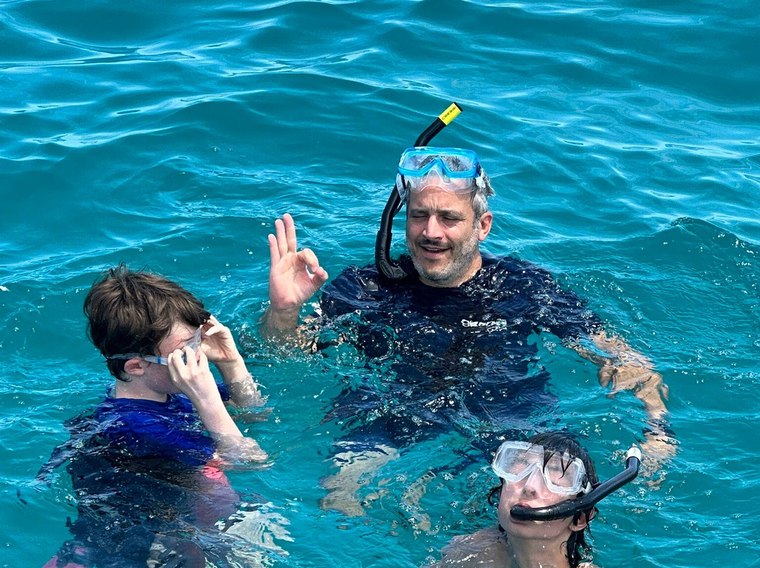 1770reef-1770镇必去景点