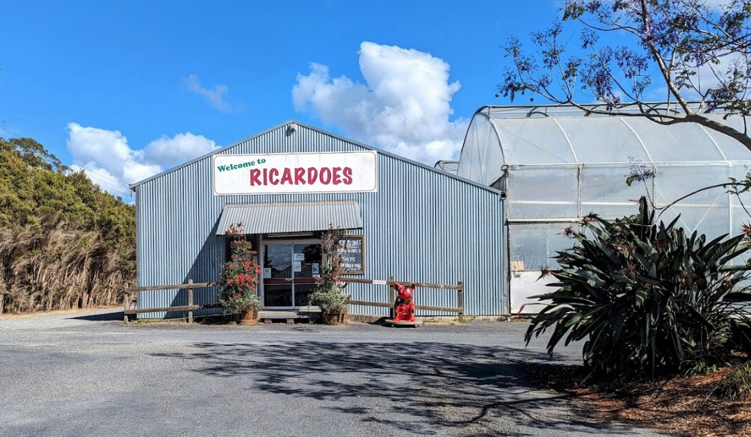 Ricardoes Tomatoes and U-Pick Strawberry Farm-麦克夸利港必去景点