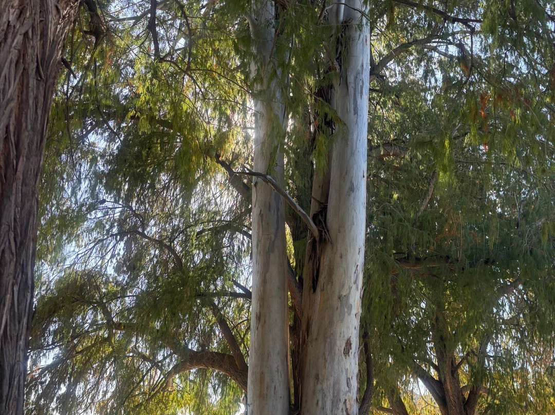 Fairmount Park-里弗赛德必去景点