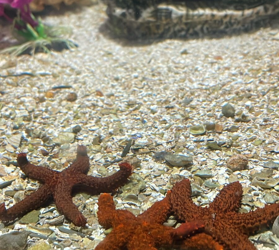 Aquário Natal-Extremoz必去景点