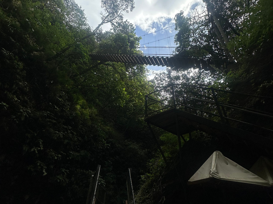 Rincon De La Vieja Volcano景点图片