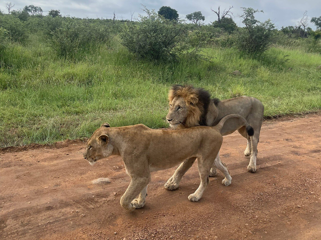 Sentashya Safaris-玛洛斯帕克必去景点