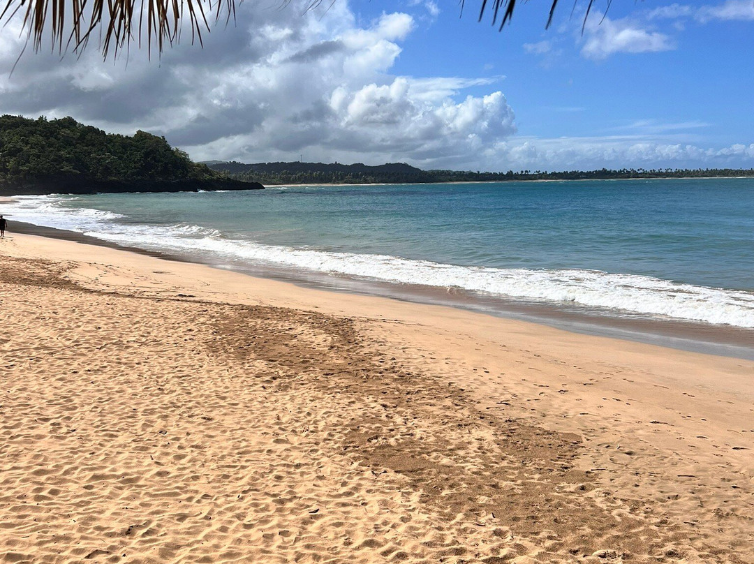 Chaykovsky Boutique hotel主图